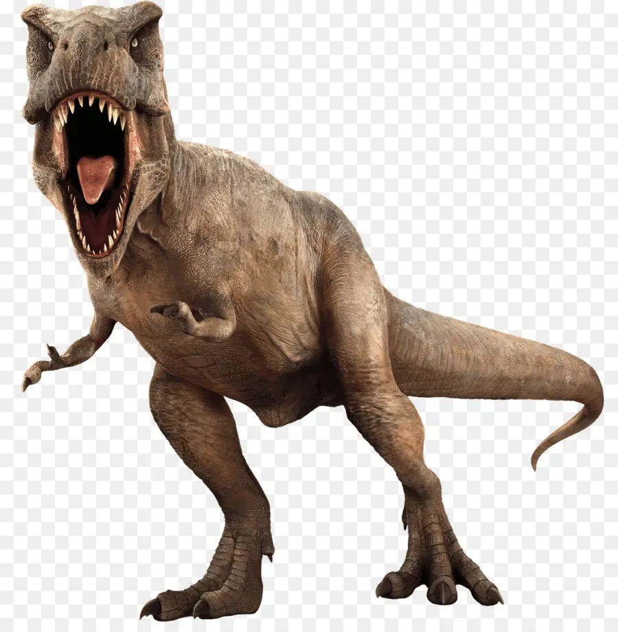 Jurassic World évolution，Velociraptor PNG