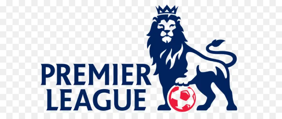 Ligue De Football Anglaise，Leicester City Fc PNG