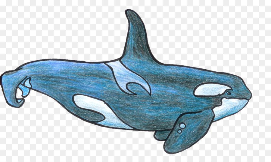 Orque，Shamu PNG