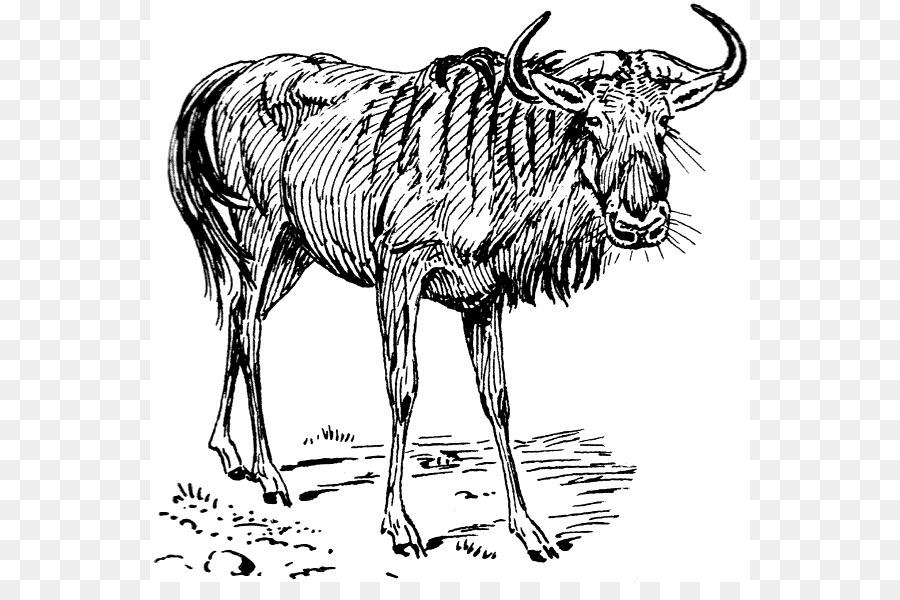 Gnou Bleu，Gnu PNG