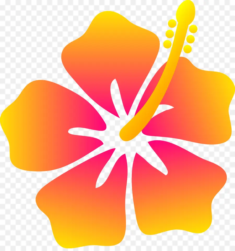 Hawaii，Fleur PNG
