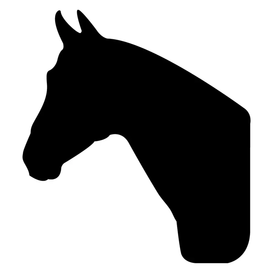 Cheval，Silhouette PNG