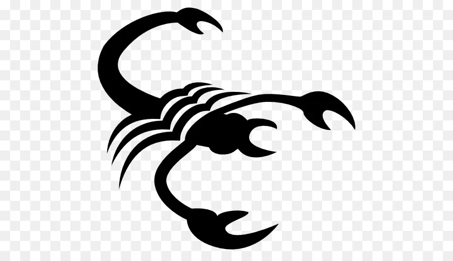 Silhouette De Scorpion，Insecte PNG