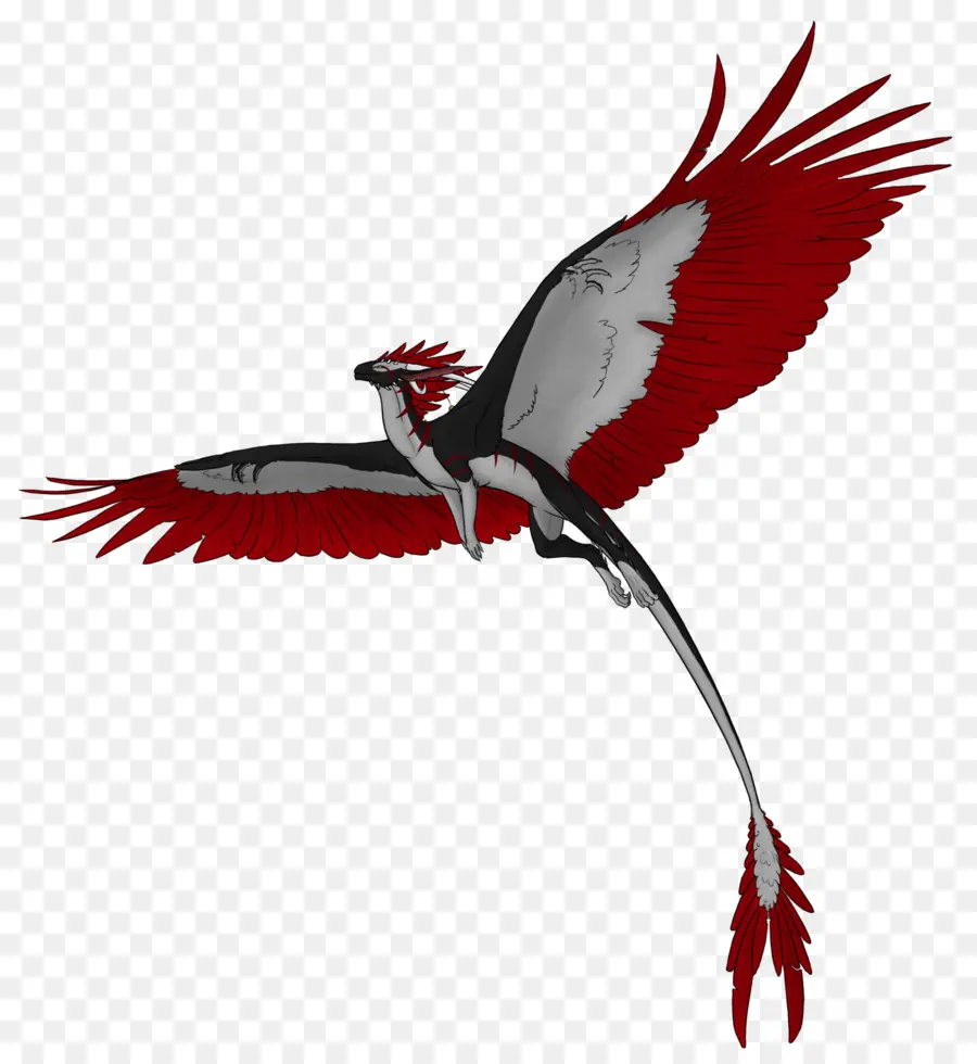 Dinosaure Volant，Ailes Rouges PNG