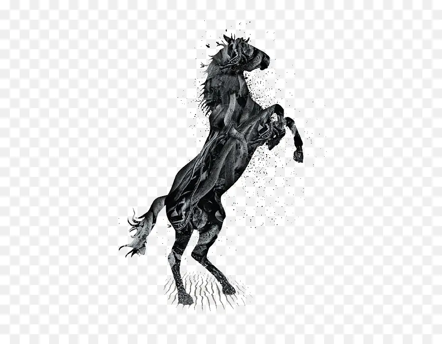 Cheval Noir，étalon PNG