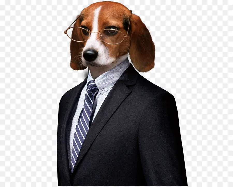 Chien En Costume，Entreprise PNG