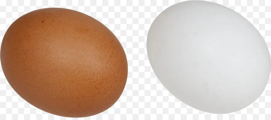 Œufs，Oeuf Brun PNG