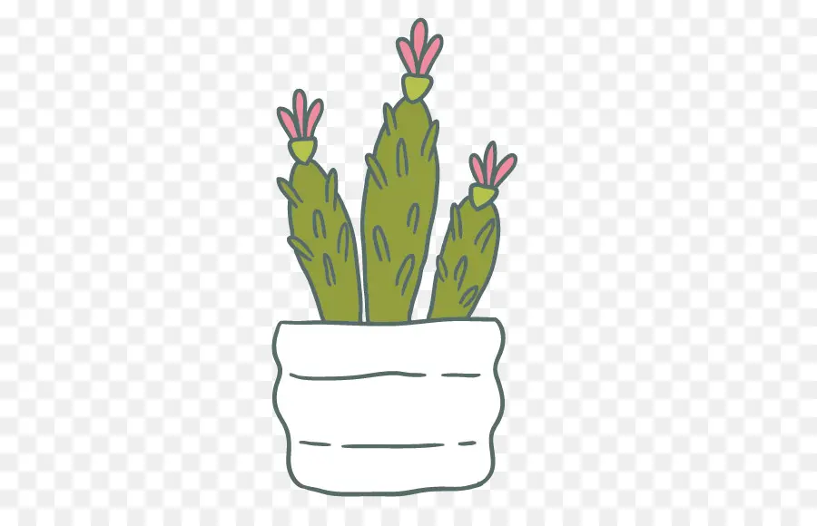 Cactus Avec Des Fleurs，Pot Blanc PNG