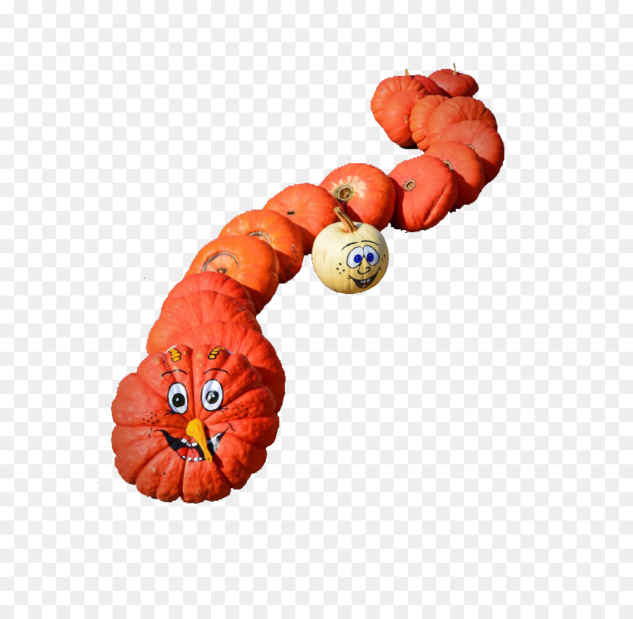 Serpent，La Citrouille PNG