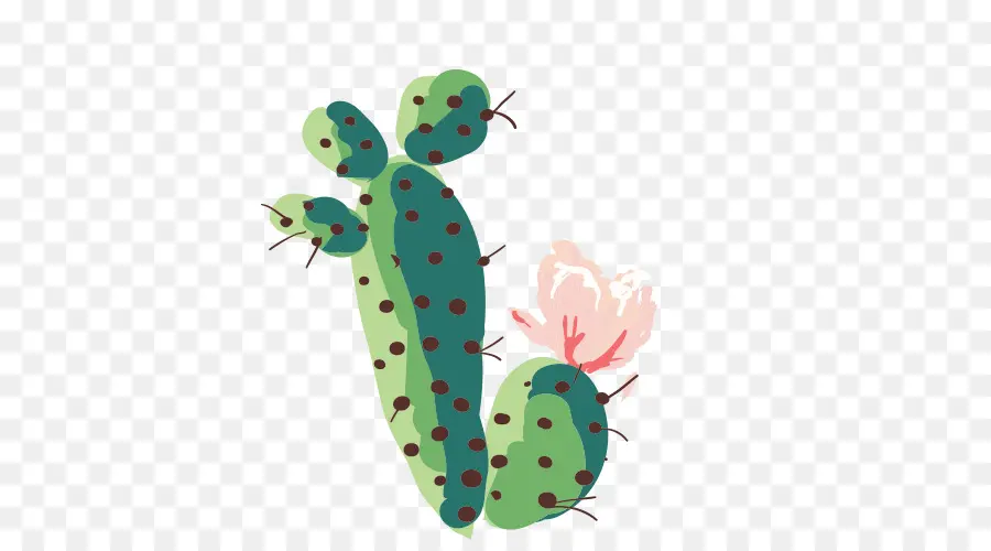 Cactus Simples，Vert PNG