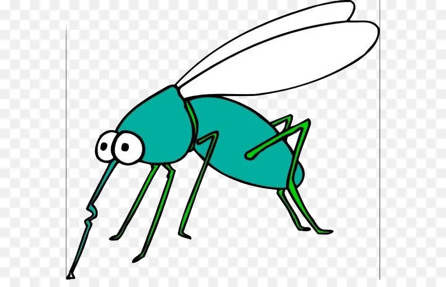 Insecte Vert，Ailes PNG