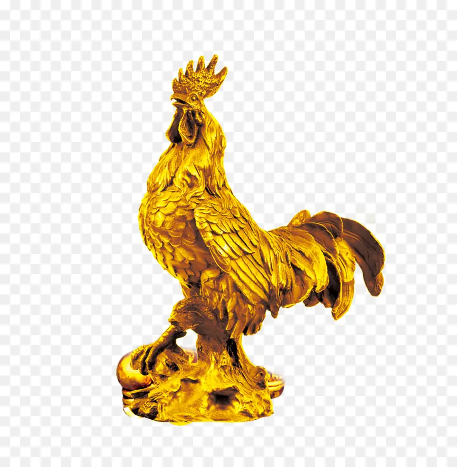 Coq D'or，Coq PNG