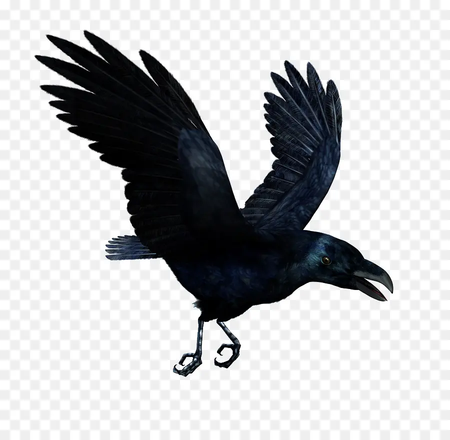 Corbeau Volant，Oiseau PNG