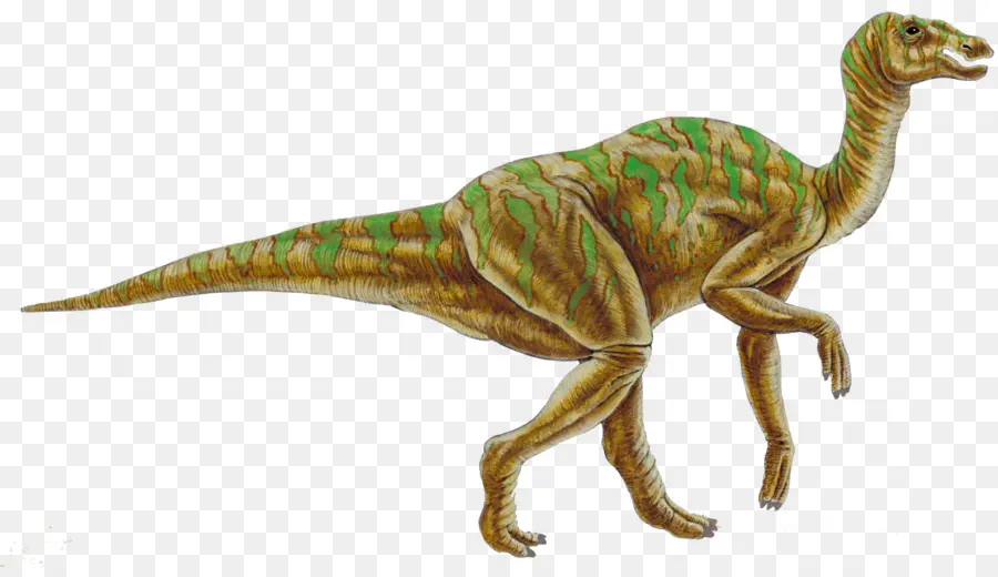 Hadrosaurus，Kritosaure PNG