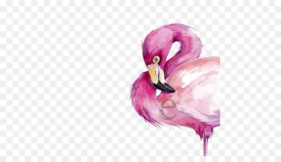 Peinture à L Aquarelle，Flamingo PNG