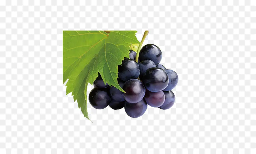 Raisins Noirs，Vigne PNG