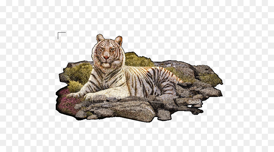 Tigre，Animation PNG