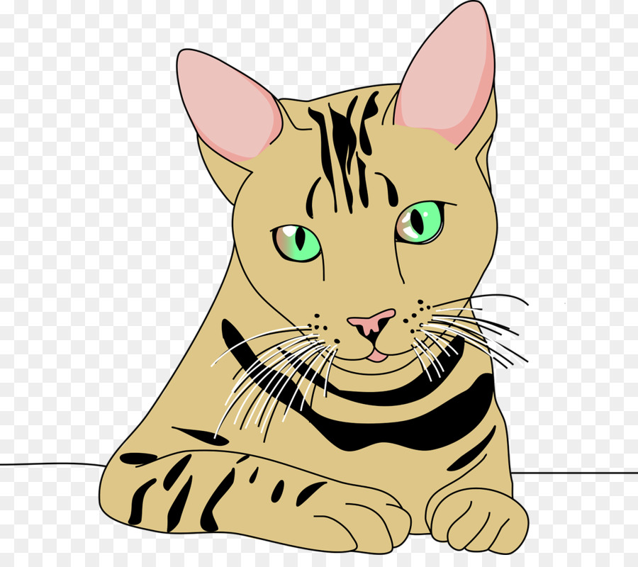 Petit Tigre，Dessin Animé PNG