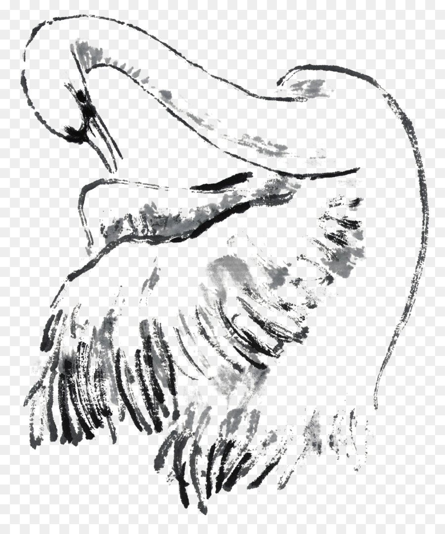 Domestique Goose，Lavis à L Encre De Peinture PNG