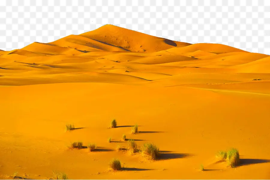 Sahara，Télécharger PNG