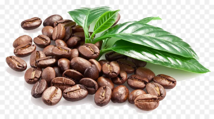 Café，Espresso PNG