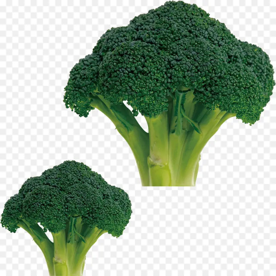 Brocoli Vert，En Bonne Santé PNG