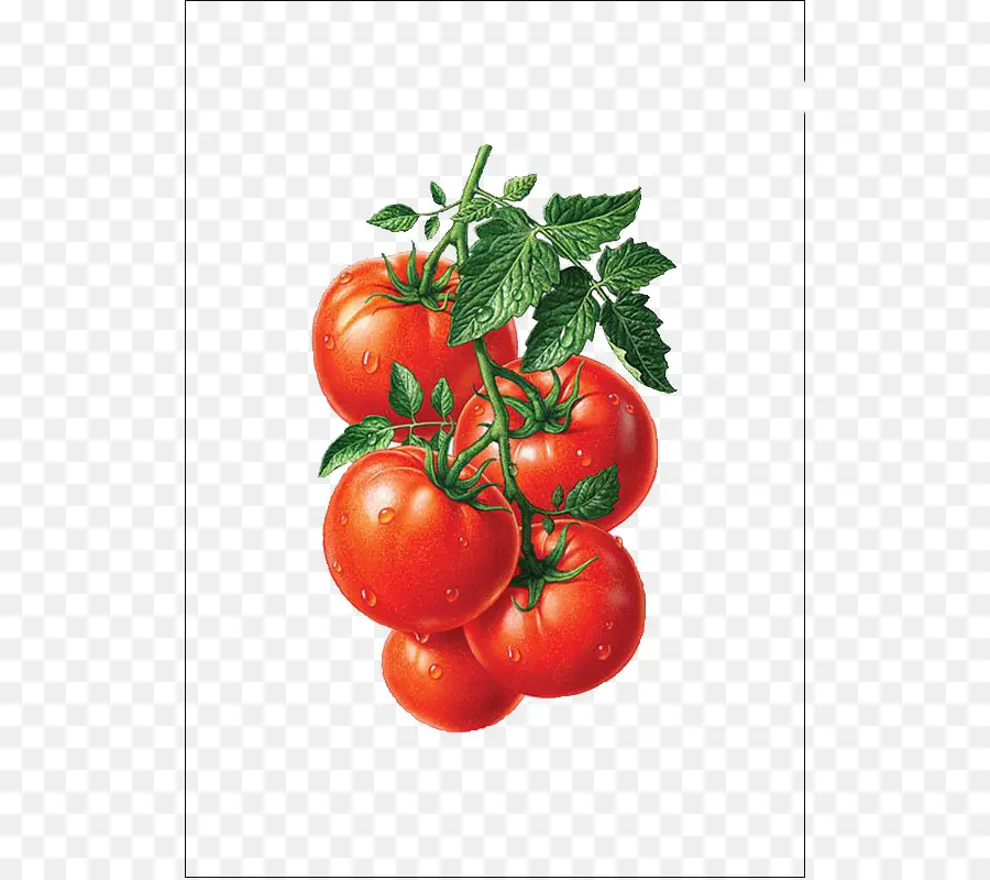 Jus，Le Jus De Tomate PNG