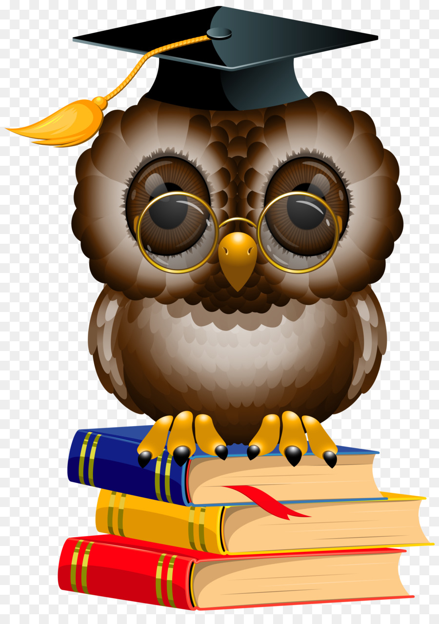 Hibou，Graduation PNG