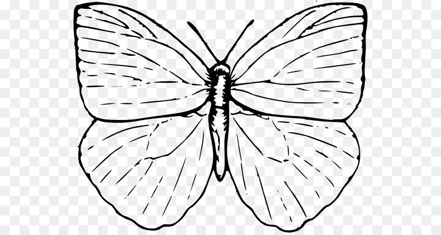 Dessin De Papillon，Insecte PNG