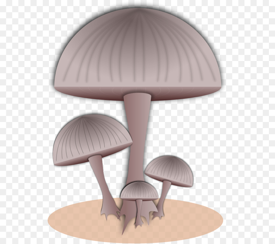 Champignons，Champignon PNG