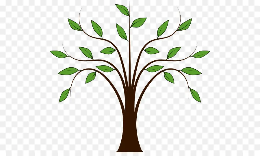 Arbre，Contenu Gratuit PNG