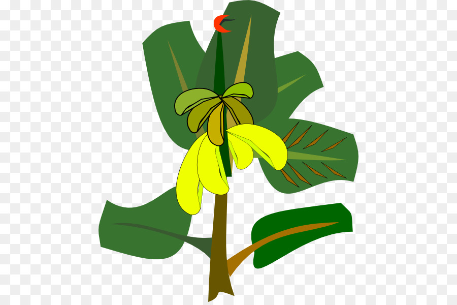 Banane，Arbre PNG