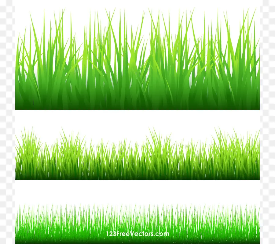 Herbe Verte，Pelouse PNG