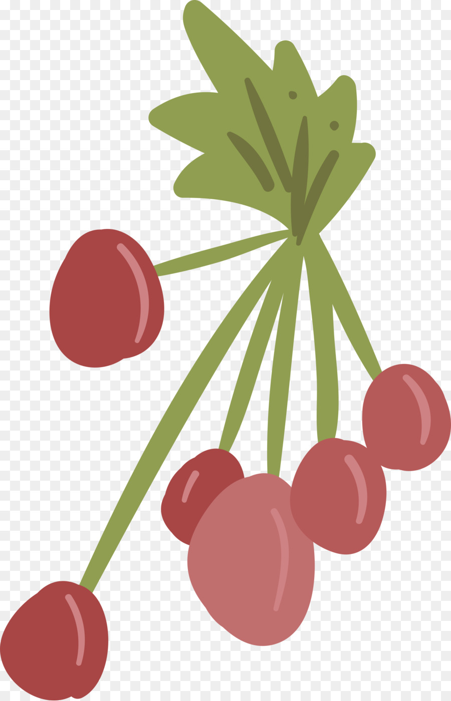 Fruits Rouges，Fruit PNG