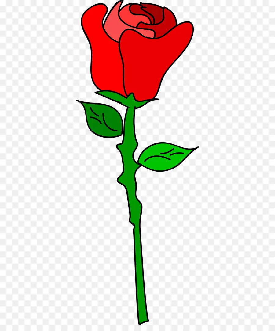 Rose，Rouge PNG