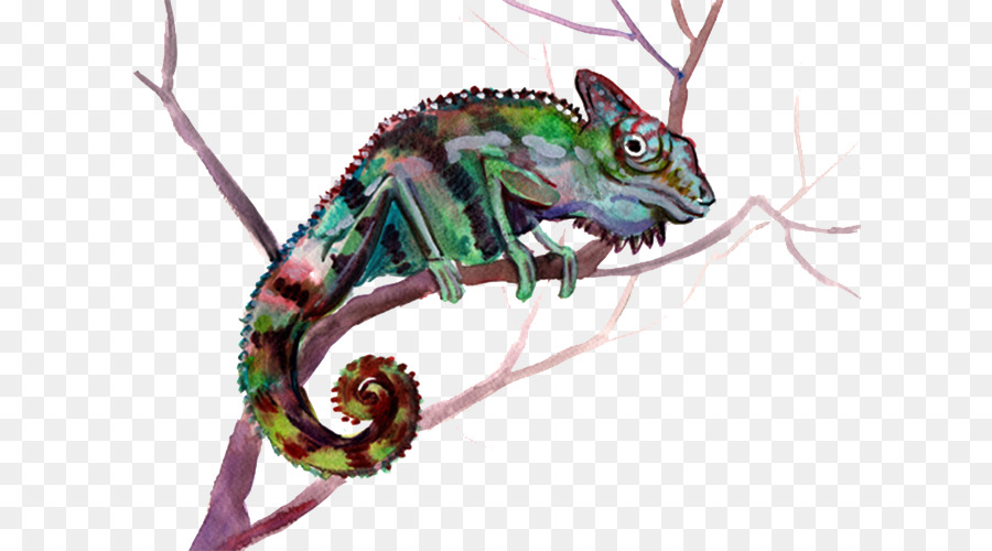 Caméléon，Bifurquer PNG