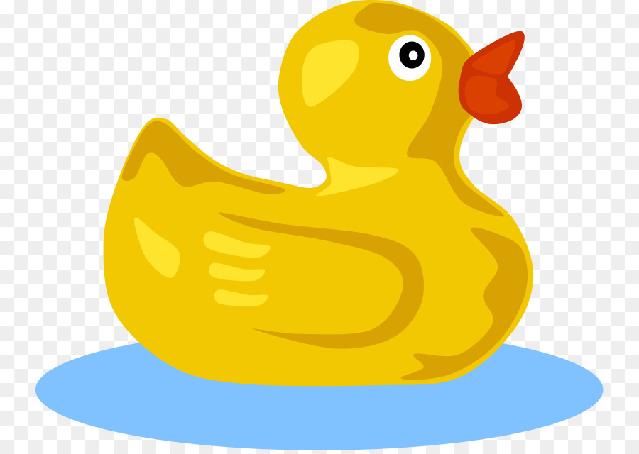 Canard，Oiseau PNG