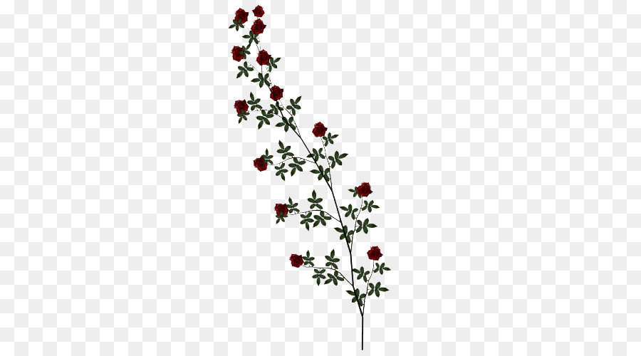 Branche De Roses，Fleur PNG