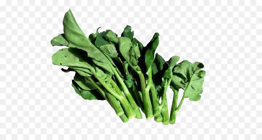 Brocoli Chinois，Légumes PNG