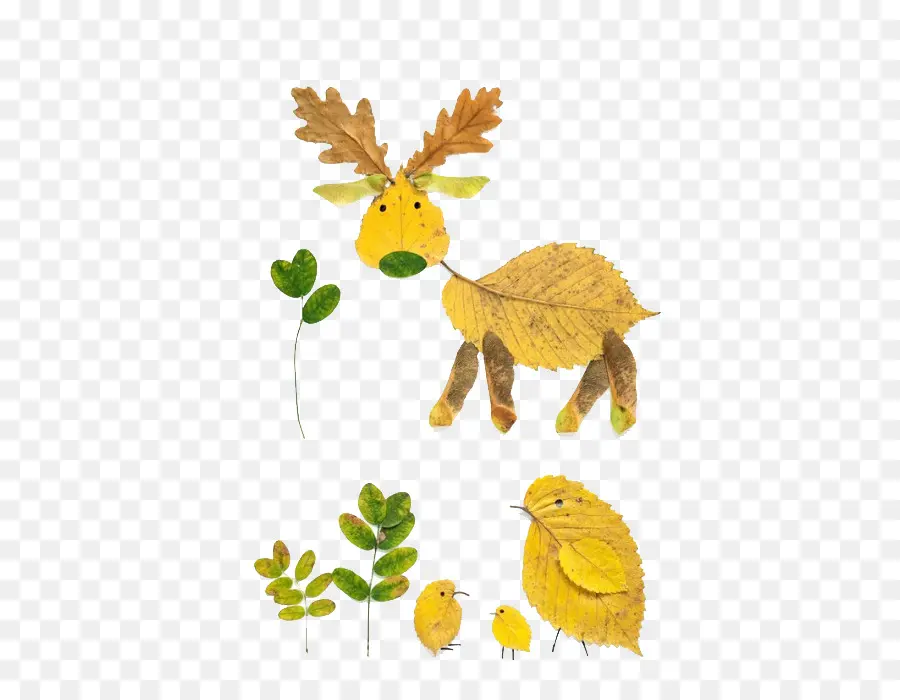 Animaux Feuilles，Feuilles PNG