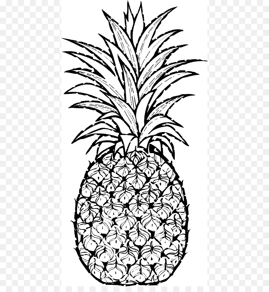 Ananas，Dessin PNG