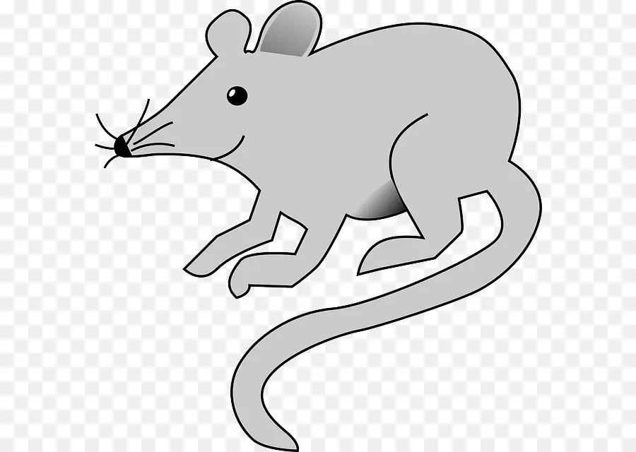 Souris De Dessin Animé，Souris PNG