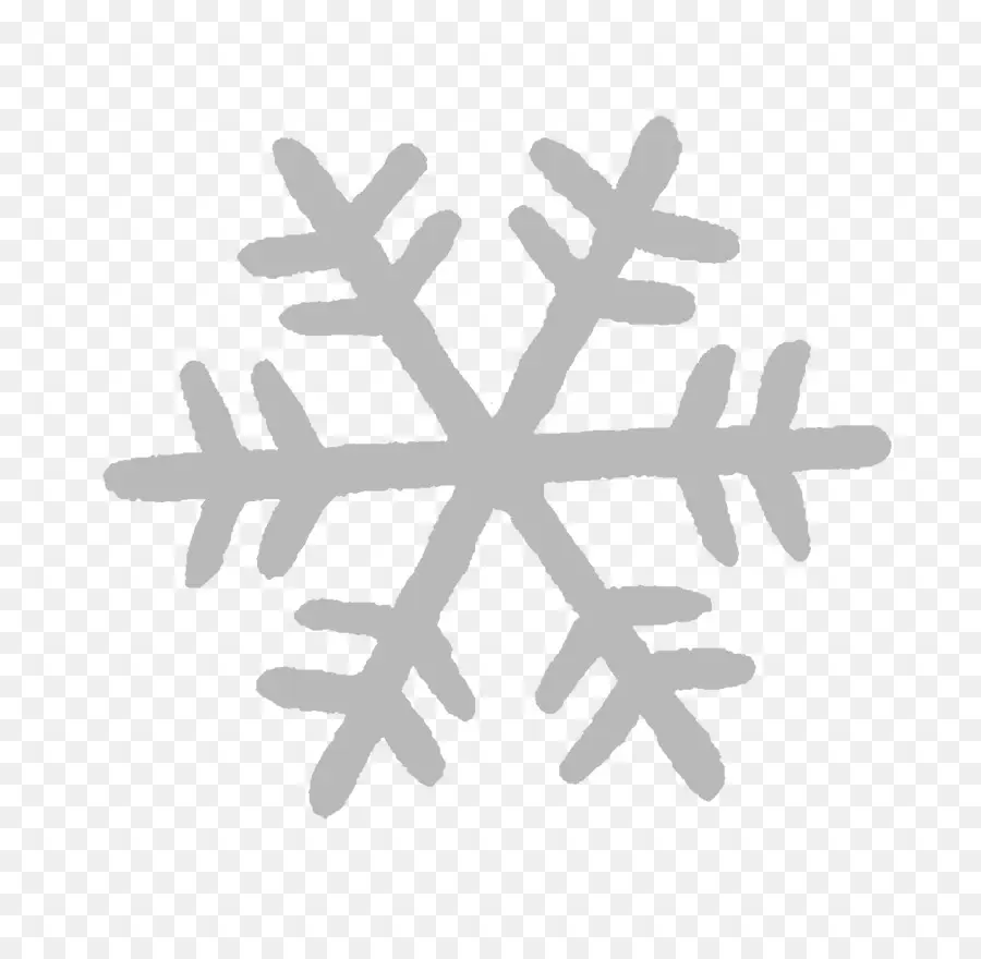 Flocon De Neige，Hiver PNG