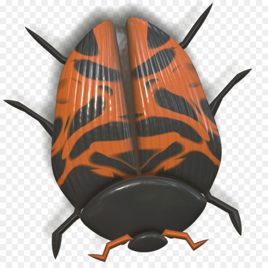 Scarabée，Orange PNG