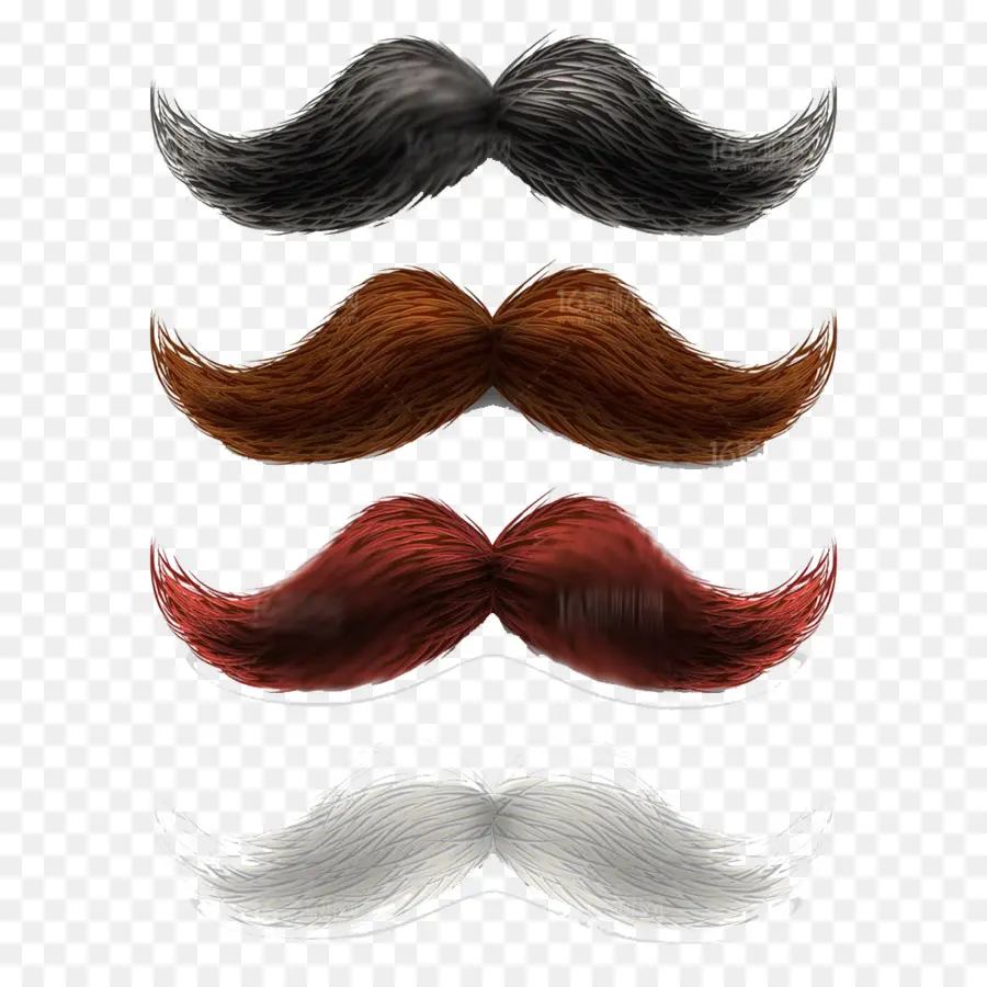 Moustaches，Poils Du Visage PNG