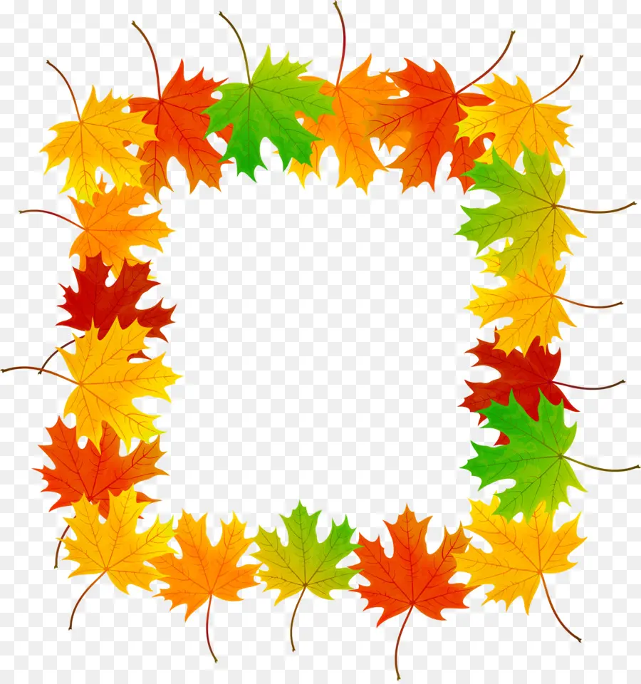 Feuilles D'automne，Automne PNG