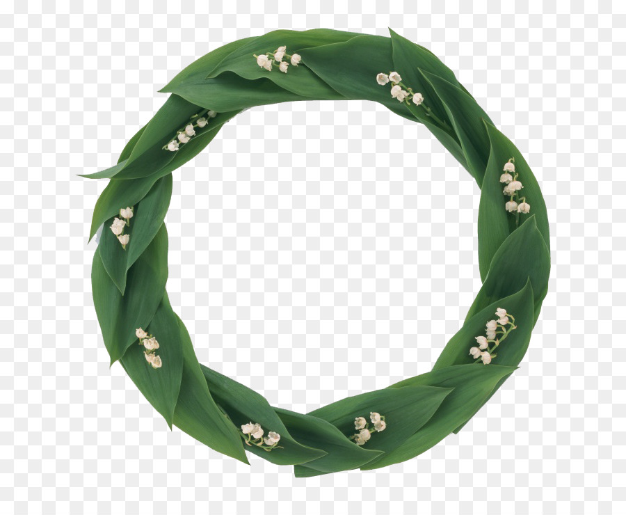 Couronne Verte，Feuilles PNG