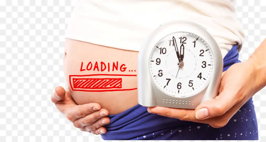 Ventre De Femme Enceinte Avec Horloge，Grossesse PNG