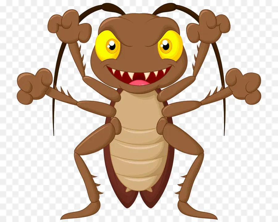 Insecte De Dessin Animé，Bogue PNG