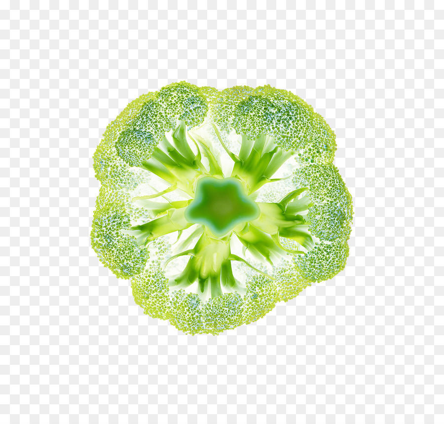 Biotherm，Brocoli PNG